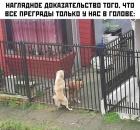 Прикрепленное изображение: photo_2021-04-09_21-51-57.jpg