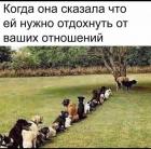 Прикрепленное изображение: photo_2021-04-01_11-32-54.jpg