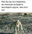 Прикрепленное изображение: 1650874184.jpg