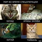 Прикрепленное изображение: Мир во время спецоперации.jpg