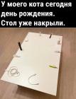 Прикрепленное изображение: День рождения кота.jpg