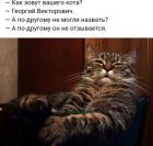 Прикрепленное изображение: Георгий Викторович.jpg