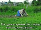 Прикрепленное изображение: Одна из дачных поз.jpg