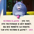 Прикрепленное изображение: Хозяин в доме.jpg