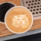 Прикрепленное изображение: Кофе с котиком.jpg