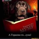 Прикрепленное изображение: 488602434_122220202322197219_5254214481629456238_n.jpg