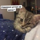 Прикрепленное изображение: 1744173490.jpg