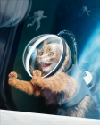 Прикрепленное изображение: kUCHFloof-3-Orbit.png