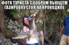 Прикрепленное изображение: Бобёр на крокодиле.jpg
