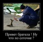 Прикрепленное изображение: 1464071700_demki-5.jpg