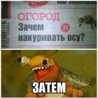 Прикрепленное изображение: J-Aj4KVq_NU.jpg