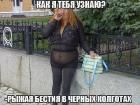 Прикрепленное изображение: image.jpeg