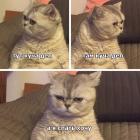 Прикрепленное изображение: 9BDB0073-7F49-4539-815F-682CE238CE54.jpeg