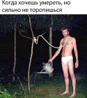 Прикрепленное изображение: image.jpeg