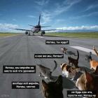 Прикрепленное изображение: BvhQp8T3cak.jpg