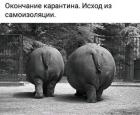 Прикрепленное изображение: Исход из самоизоляции.jpg