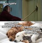 Прикрепленное изображение: Хозяин просится на улицу.jpg