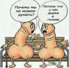 Прикрепленное изображение: 191230583_292129669312556_928489115723275345_n.jpg