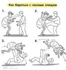 Прикрепленное изображение: борьба с клещом_dd38759e.jpg