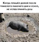 Прикрепленное изображение: После тяжелого рабочего дня.jpg