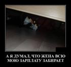 Прикрепленное изображение: Котик забрал зарплату.jpg