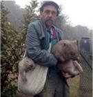 Прикрепленное изображение: 280945785_426939839432467_3089876955216360318_n.jpg