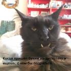 Прикрепленное изображение: 1565599814_13289696.jpg