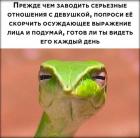 Прикрепленное изображение: ttySgnQSKg9wHz_JlkeghZ8jUbvfkHAKH1T-g4V7zOo0noIpUmO1M9UvWAkVWrwtahorpkCW_jszKA-nvPD-y7Yq.jpg