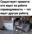 Прикрепленное изображение: Справедливость на работе.jpg