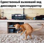 Прикрепленное изображение: Креслоцараптор.jpg