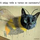 Прикрепленное изображение: 1685004815.jpg