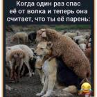 Прикрепленное изображение: 1.jpg