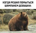 Прикрепленное изображение: решил помыться шампунем девушки.jpg