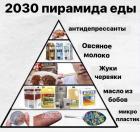 Прикрепленное изображение: 2030 пирамида еды.jpg