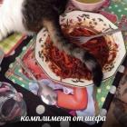 Прикрепленное изображение: Комплимент от шефа.jpg