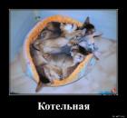 Прикрепленное изображение: Котельная.jpg