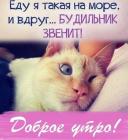 Прикрепленное изображение: Еду на море.jpg