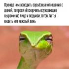 Прикрепленное изображение: Осуждающее выражение лица.jpg