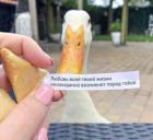 Прикрепленное изображение: Гусь.jpg