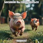 Прикрепленное изображение: Пробежаться поросе 2.jpg