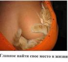 Прикрепленное изображение: 497582844_24087045260880646_7116685869258572149_n.jpg