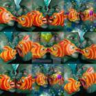 Прикрепленное изображение: l1048751712.jpg