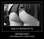Прикрепленное изображение: 392105_jopy_net_poznakomitisia_s_takoi_jopoi.jpg