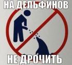 Прикрепленное изображение: sFOV6aBkhis.jpg