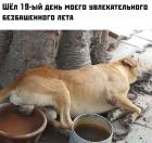 Прикрепленное изображение: 1561012143_0013.jpg