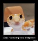 Прикрепленное изображение: 1593175139.jpg