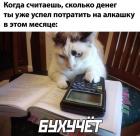 Прикрепленное изображение: v_tN5CNGw0E.jpg