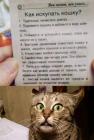 Прикрепленное изображение: Как искупать кошку.jpg