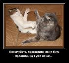 Прикрепленное изображение: Прекратите меня бить.jpg