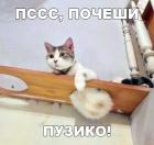 Прикрепленное изображение: Почеши пузико.jpg